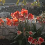 Appartement Leona
