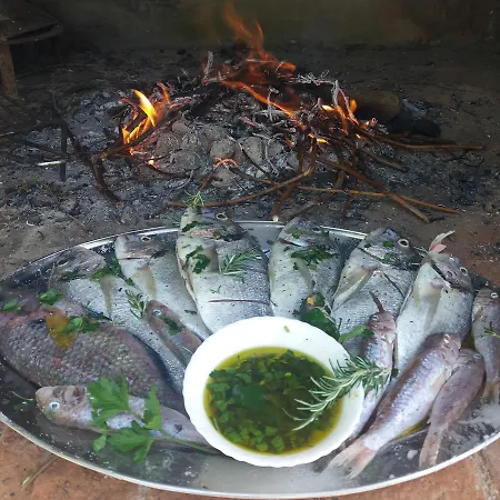 Appartamento Leona *