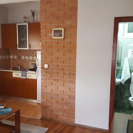 Apartament Leona Neum