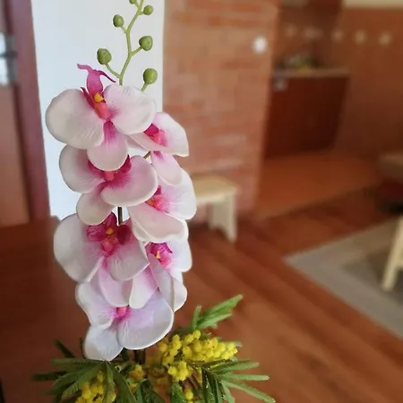 Leona Apartament *